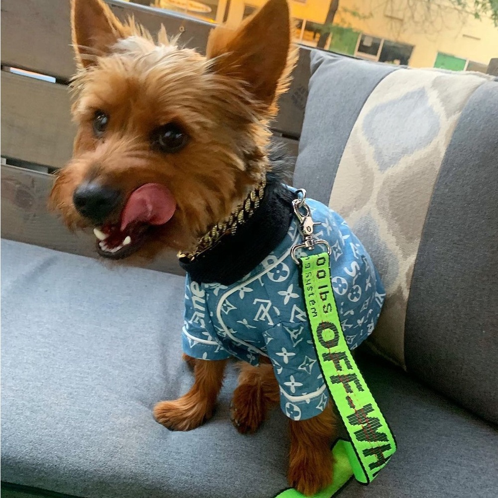 Supreme dog baseball jersey summer cotton shirt, runs very small!